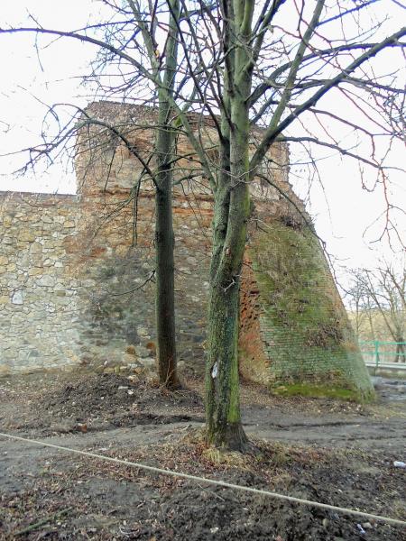 Бердичев - Фото №28