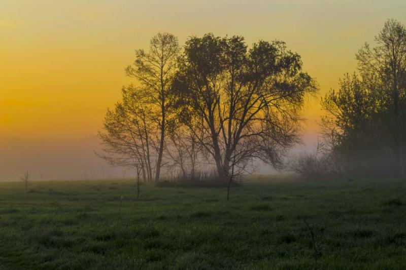 Украина - Гадяч. Фото №4