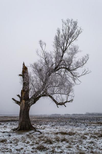 Украина - Гадяч. Фото №16