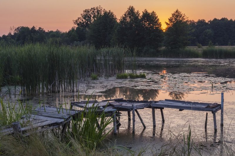 Рыбацкое питер фото