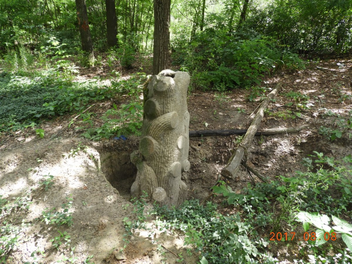 Ягодинка. Украина - Ягодинка. Фото №7