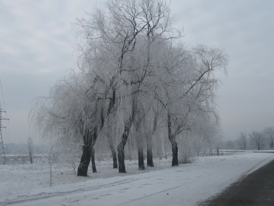 Украина - Кривой Рог. Фото №4