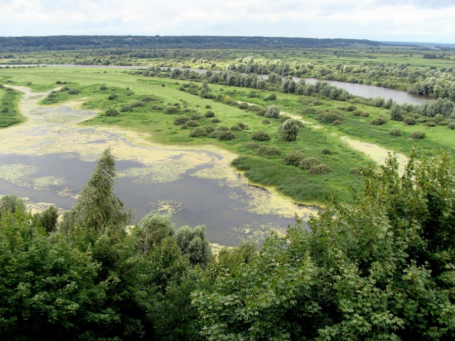 Украина - Река Десна. Фото №20
