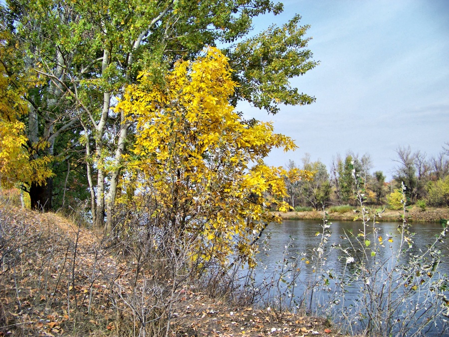 Украина - Славяносербск. Фото №2