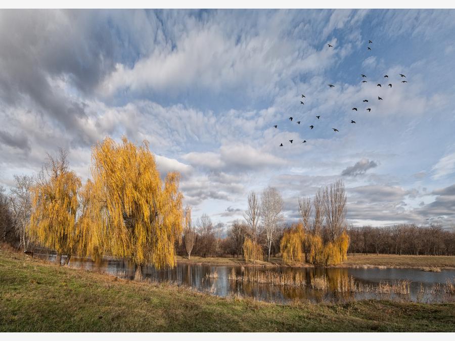 Украина - Славяносербск. Фото №12