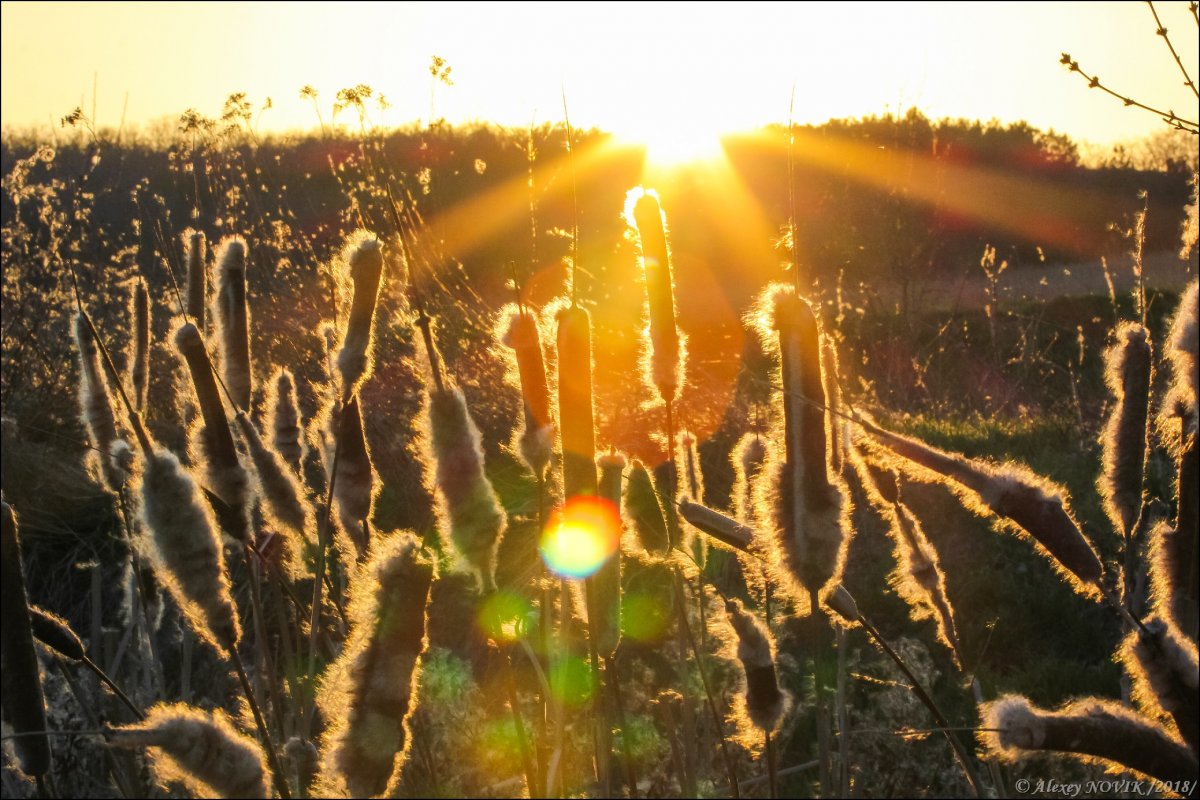 Последние лучи. ЛЕТАЛУЧ.