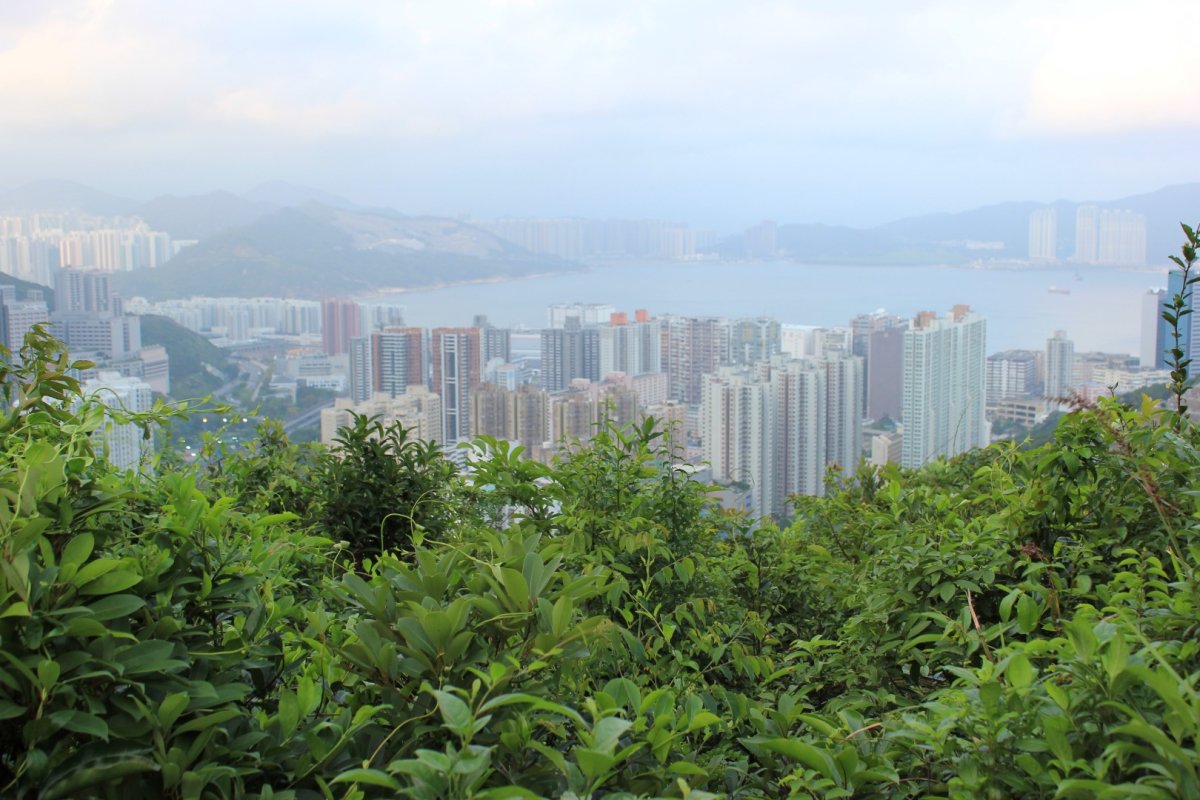 Гонконг - Гонконг. Фото №38