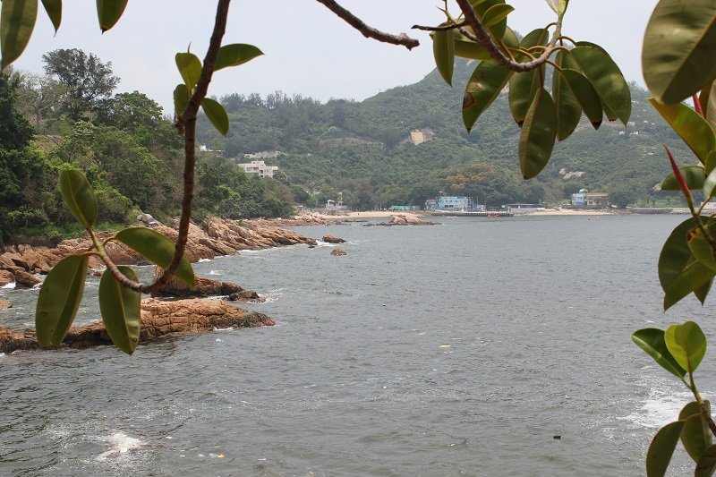 Гонконг. Китай - Гонконг. Фото №8