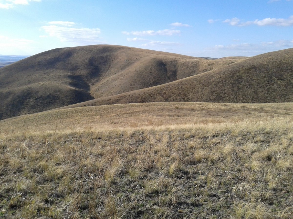 . Россия - . Фото №8