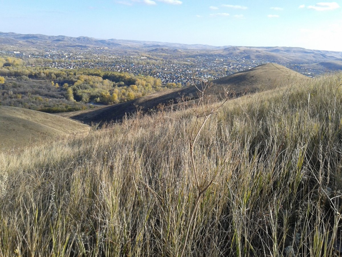 . Россия - . Фото №9