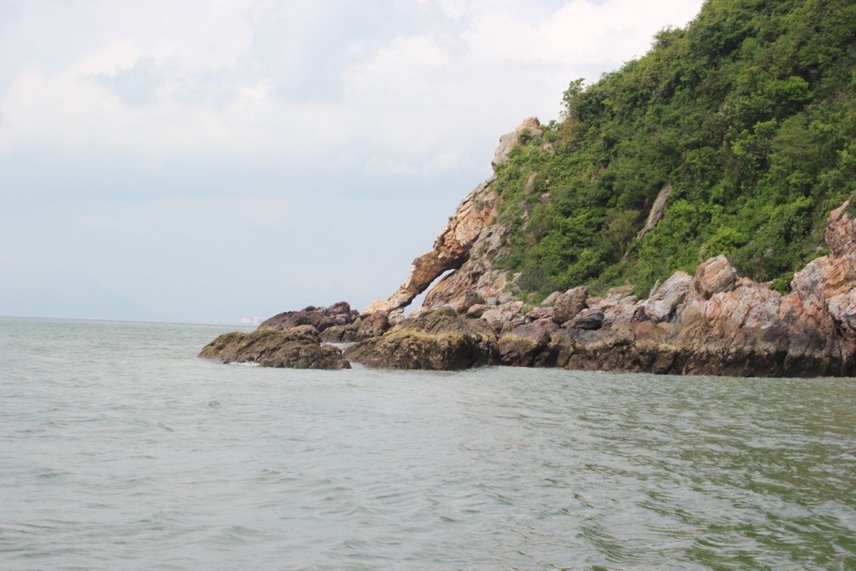 Гонконг - Гонконг. Фото №33