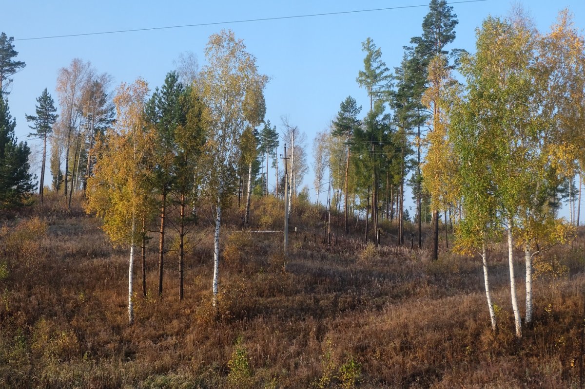 Россия - Россия. Фото №12