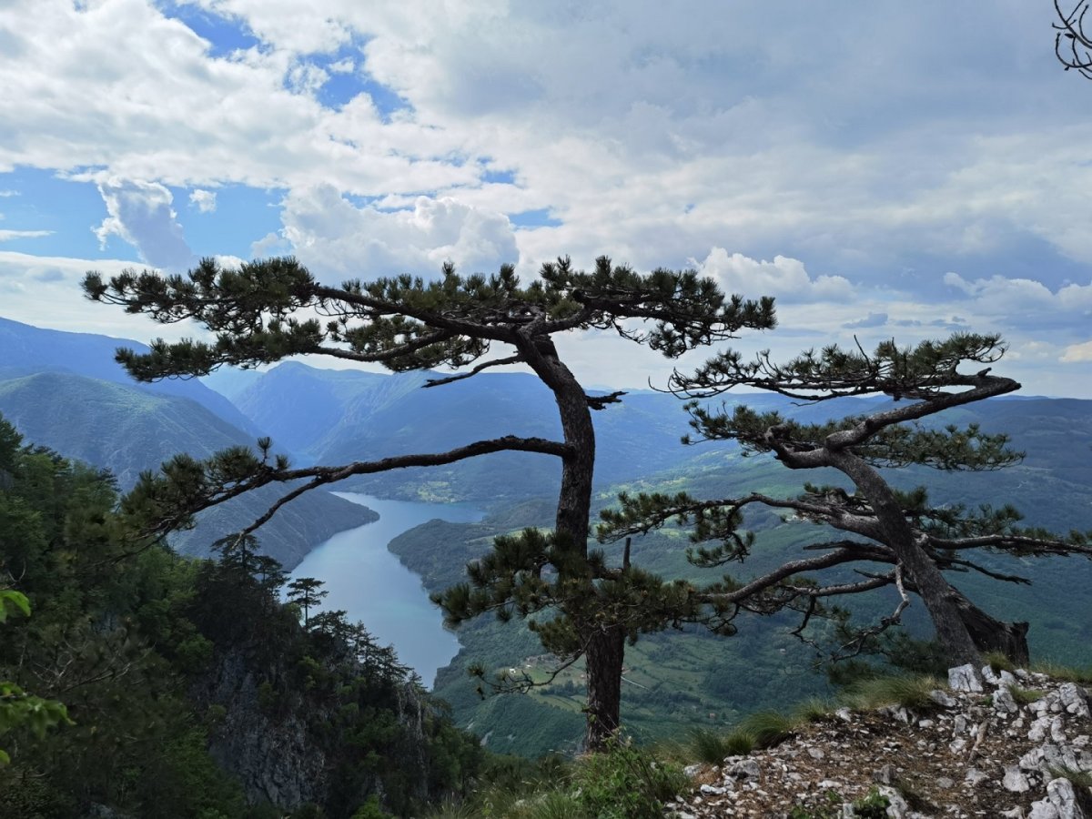 Сербия - Мокра Гора. Фото №19