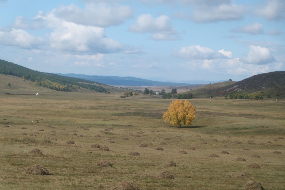 Монголия - Цонжин-Болдог. Фото №30