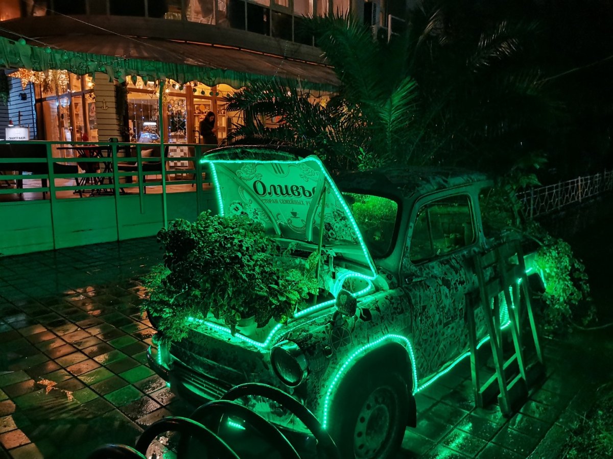 Россия - Сочи. Фото №36