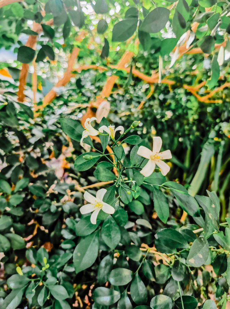 Россия - Саратов. Фото №26