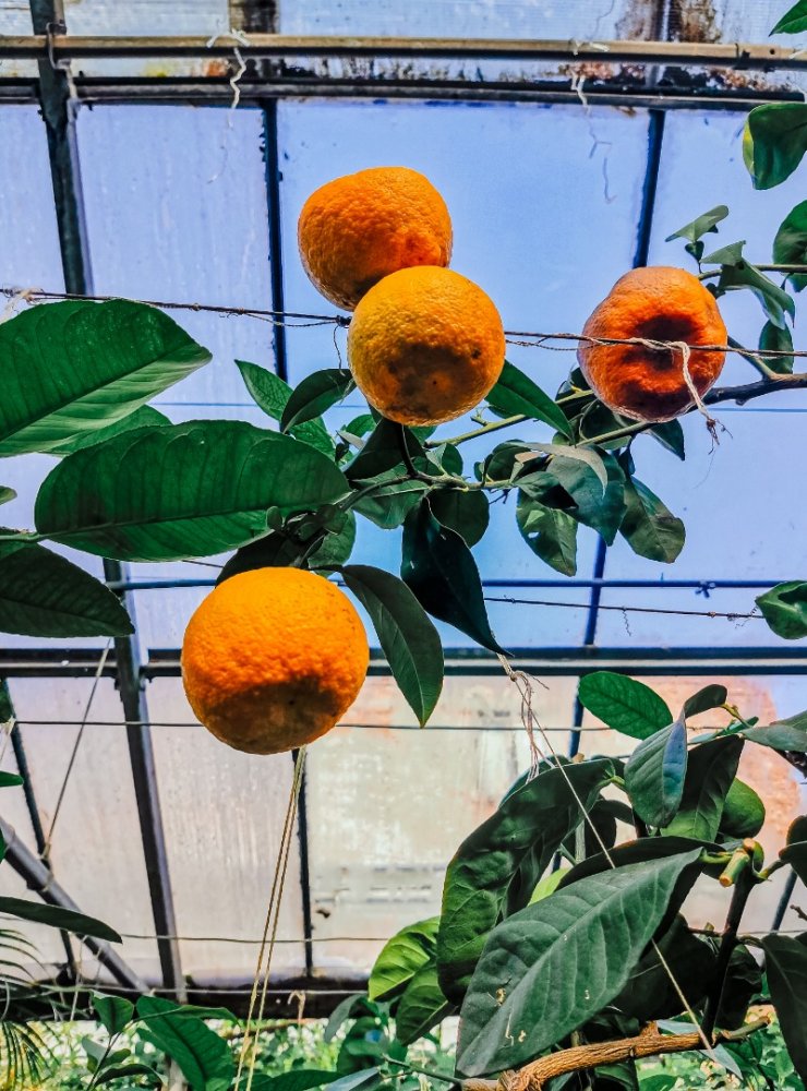 Россия - Саратов. Фото №33