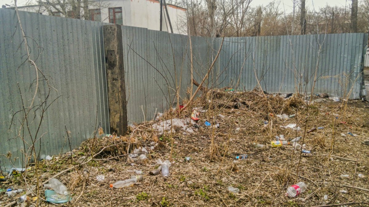 Казахстан - Павлодар. Фото №51