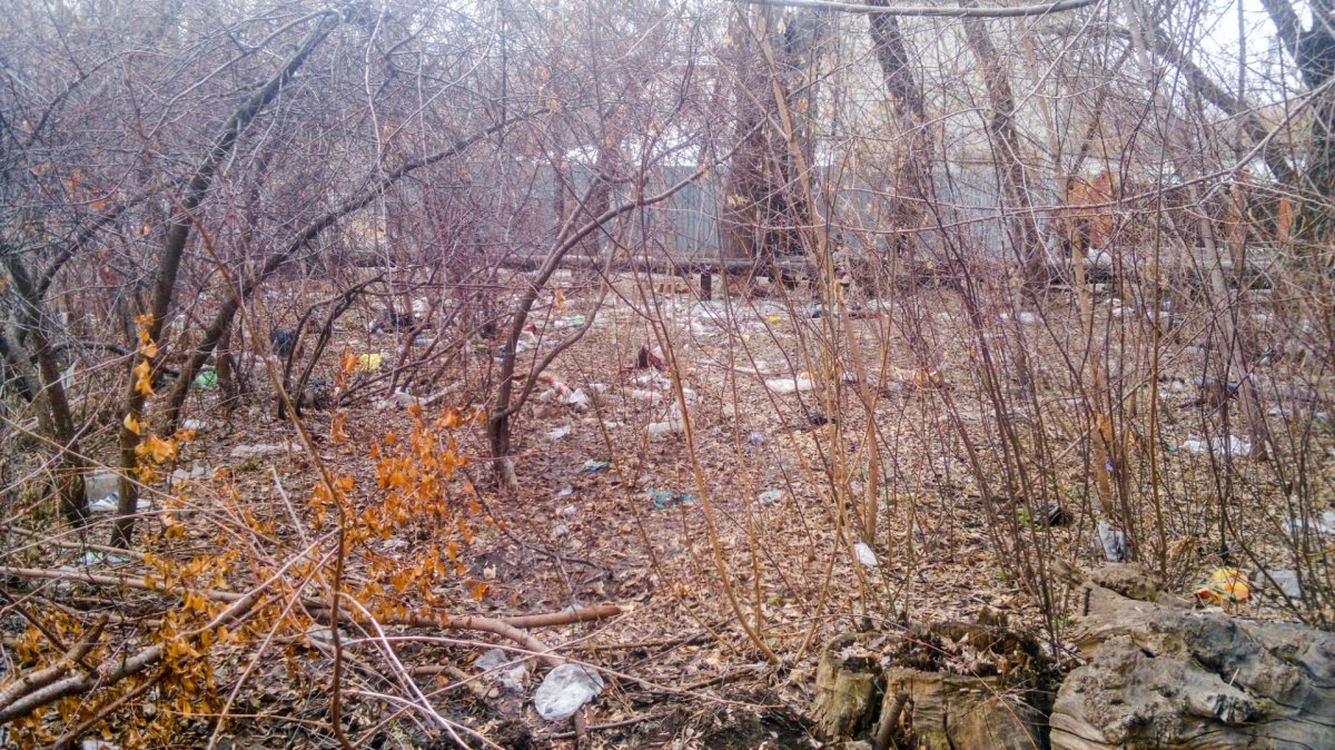 Казахстан - Павлодар. Фото №63