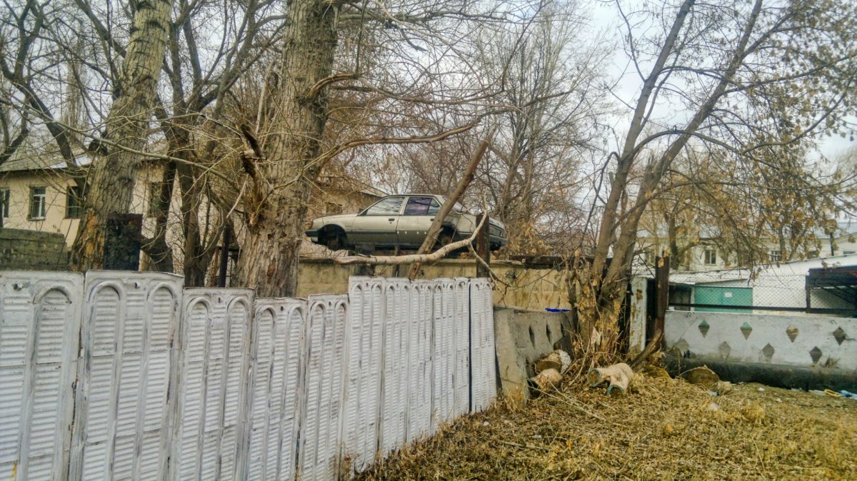 Казахстан - Павлодар. Фото №69