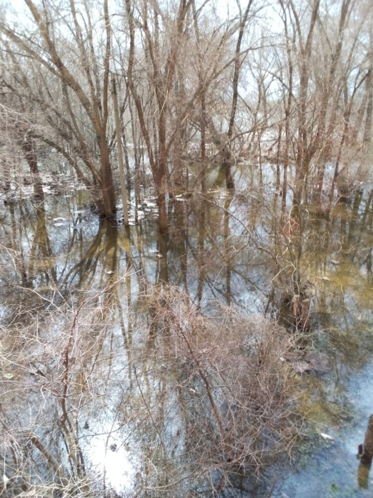 Орск. Мы надолго запомним этот паводок в Орске 2024 года Россия - Орск. Фото №18