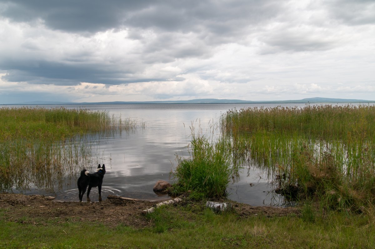 Россия - Чита г. Фото №7