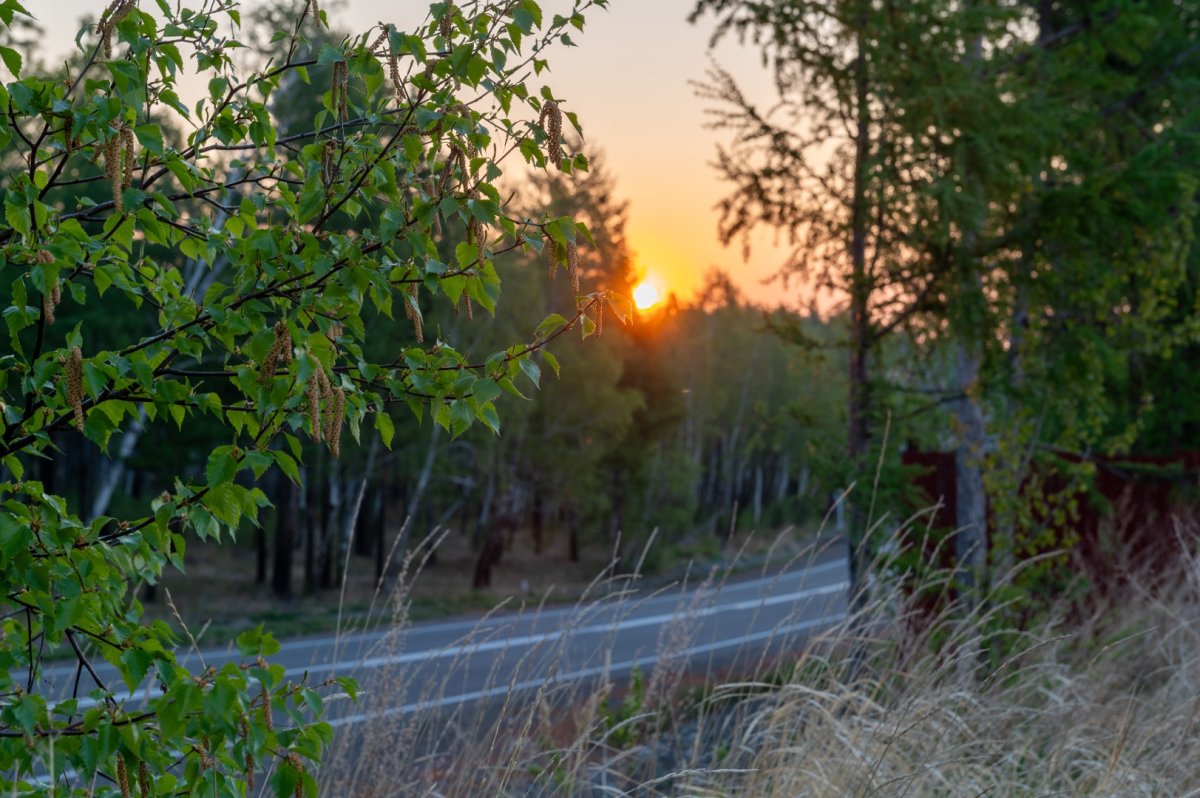 Забайкальский край. 5 Россия - Забайкальский край. Фото №5