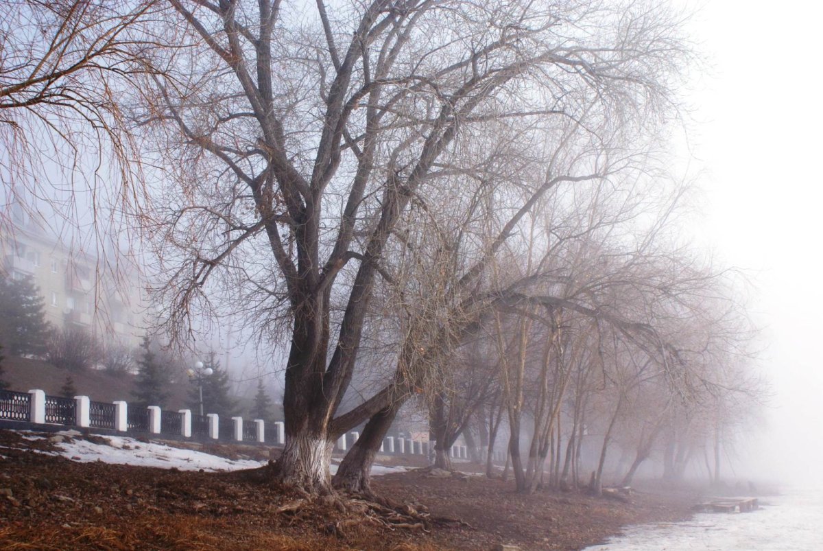 Россия - Вольск. Фото №5