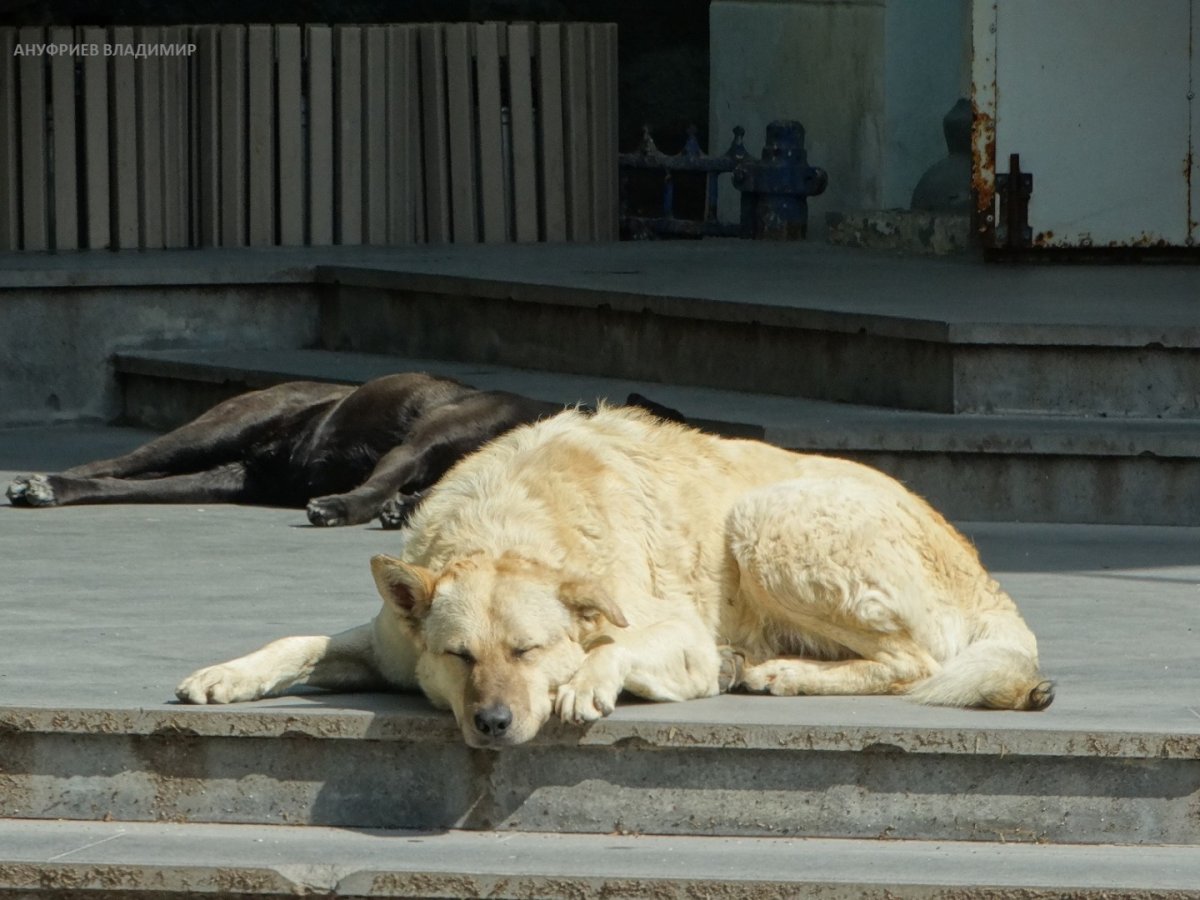 Россия - Железноводск. Фото №44