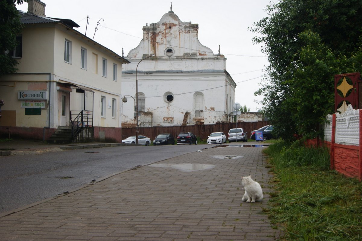 Белоруссия - Слоним. Фото №20