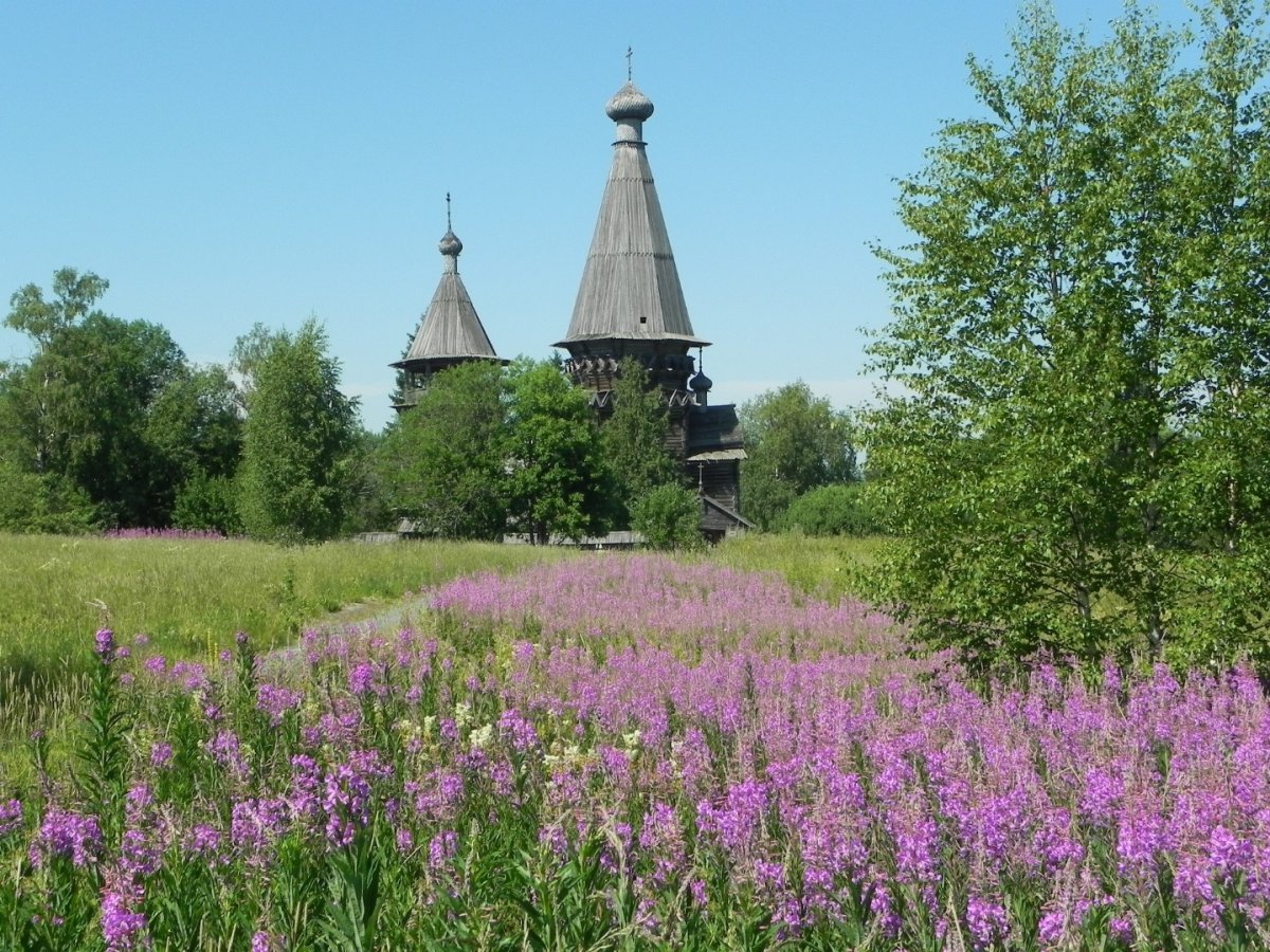 Россия - Ленинградская область. Фото №11
