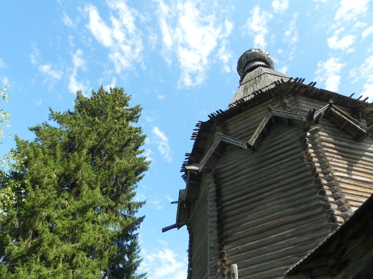 Россия - Ленинградская область. Фото №21