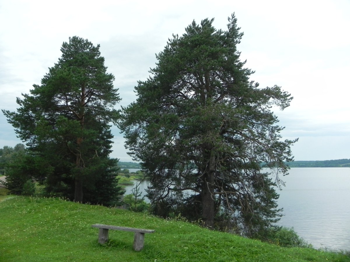 Россия - Ленинградская область. Фото №28