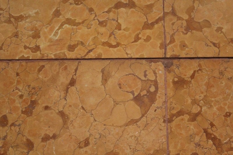 Россия - Москва. Фото №8