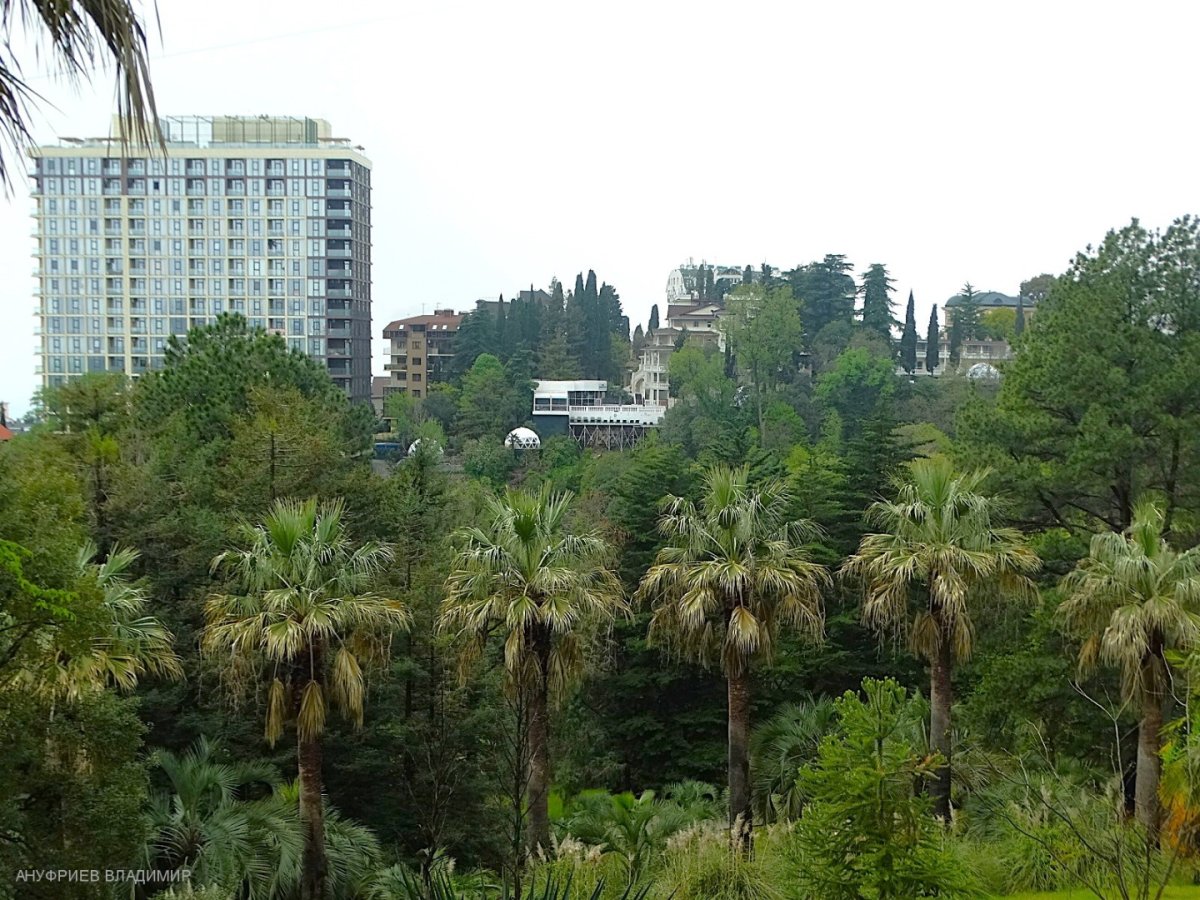 Сочи. Парк в черте города. Россия - Сочи. Фото №1