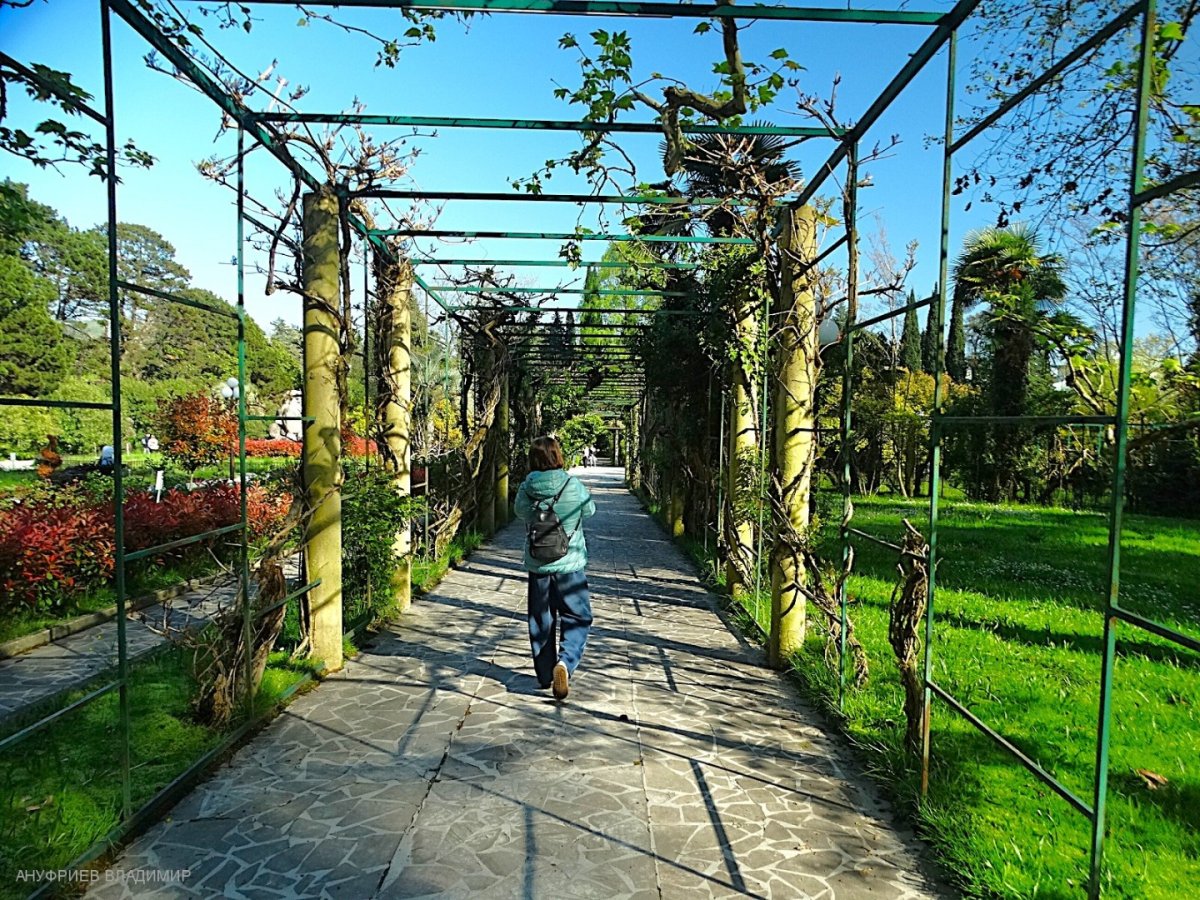 Россия - Сочи. Фото №40