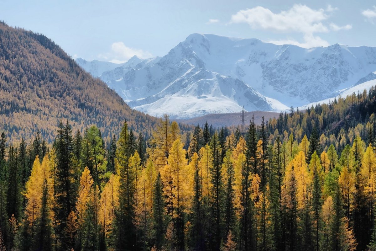 Россия - Алтай. Фото №1