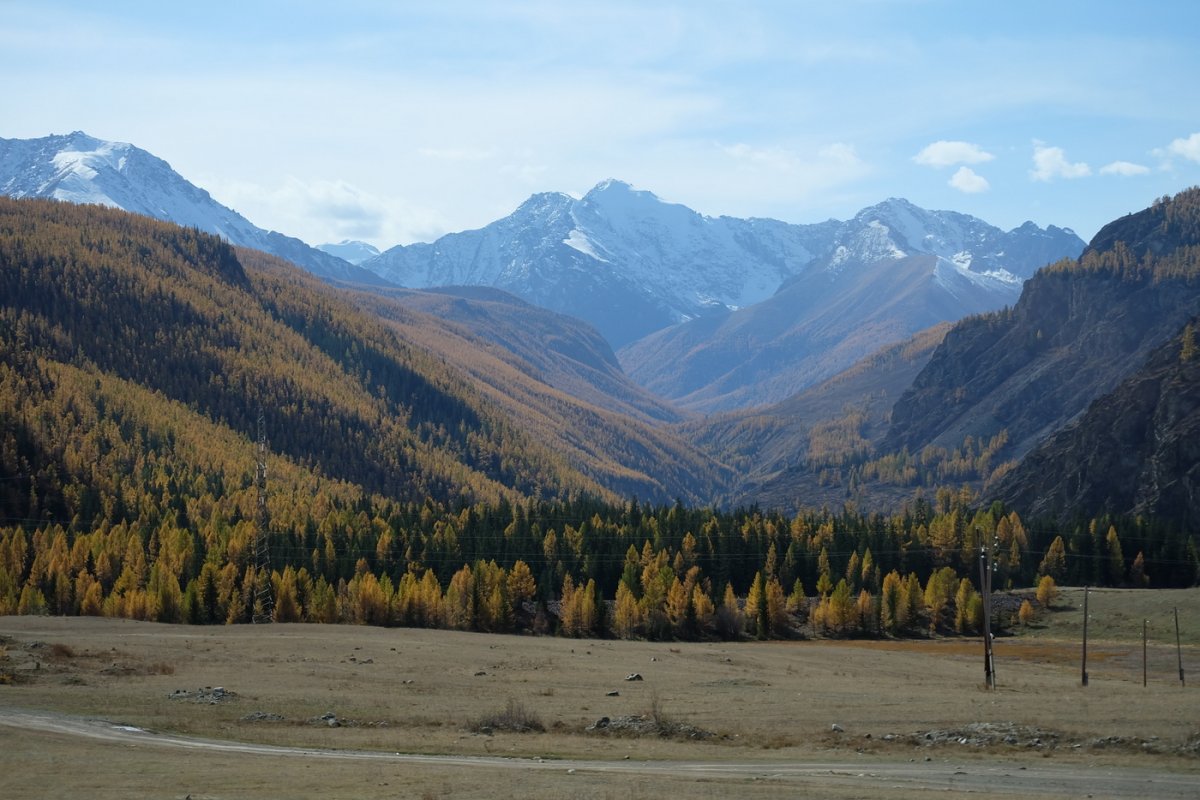 Россия - Алтай. Фото №3