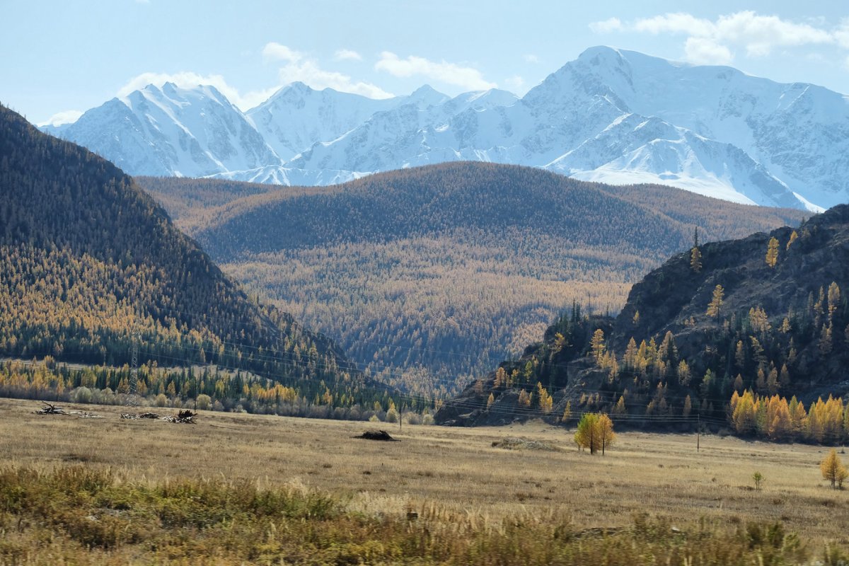 Алтай. Высшая точка, которая видна с тракта, – гора Актру (4044 м). Она где-то на этом участке. Россия - Алтай. Фото №4