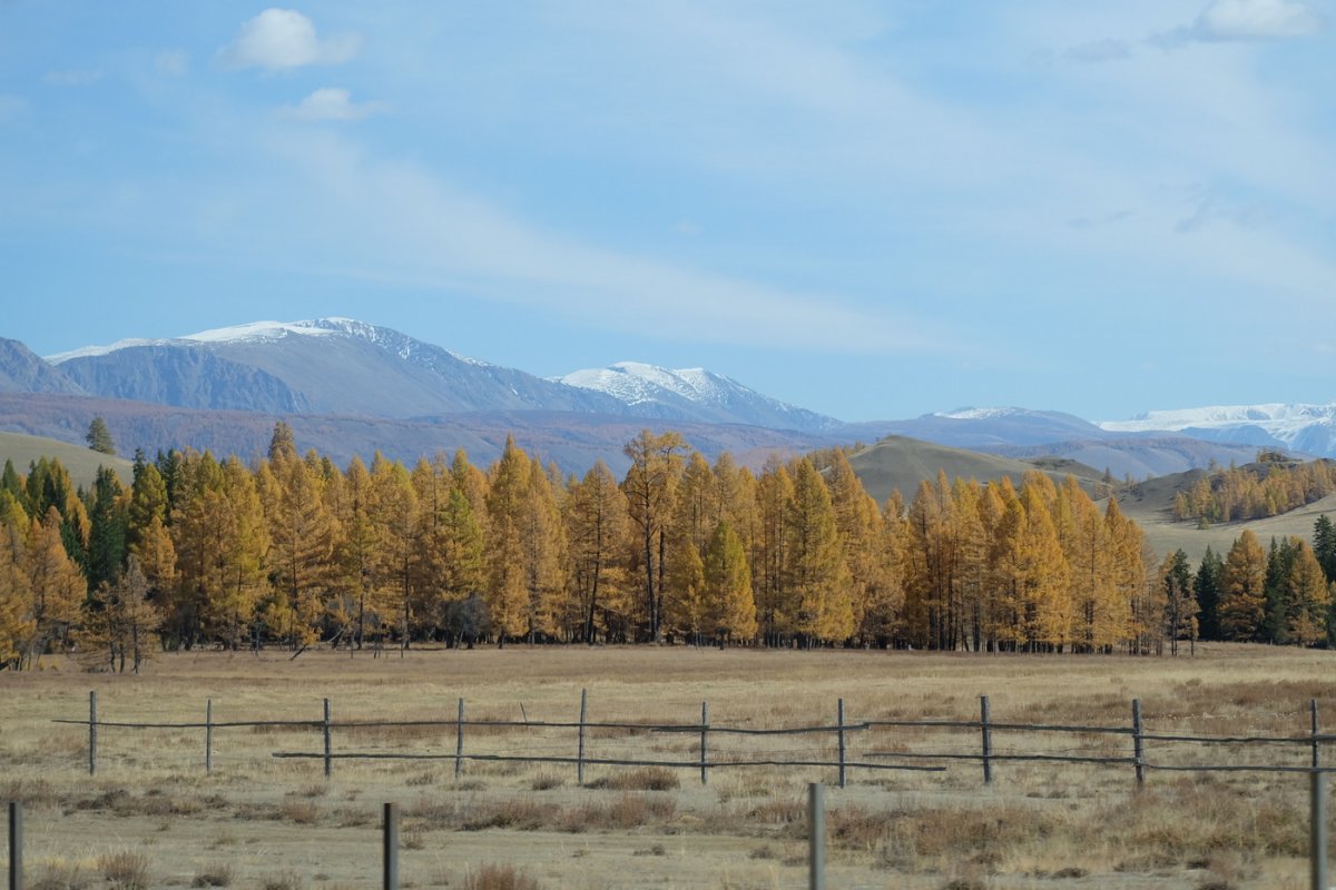 Алтай. Курайский хребет пониже, он является водоразделом рек Чуя и Башкаус (приток Чулышмана). Россия - Алтай. Фото №6
