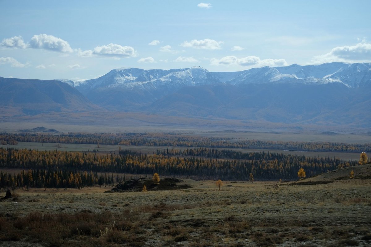 Россия - Алтай. Фото №7