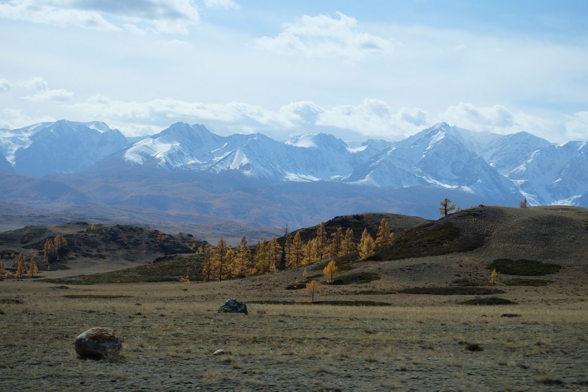 Россия - Алтай. Фото №8