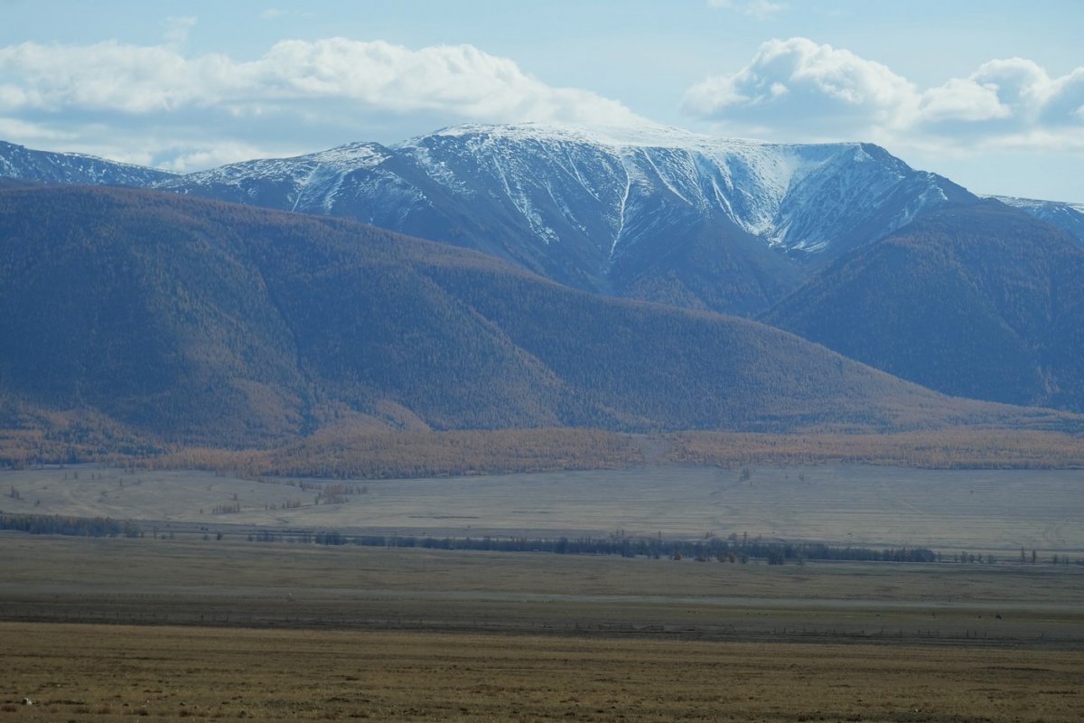 Россия - Алтай. Фото №10