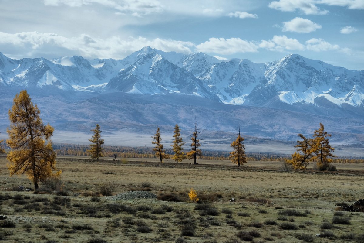 Россия - Алтай. Фото №11