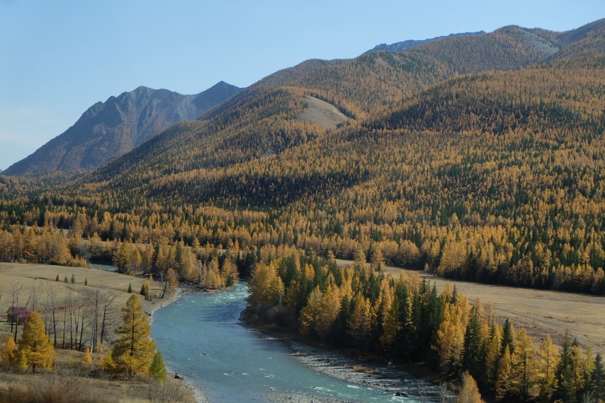 Россия - Алтай. Фото №14