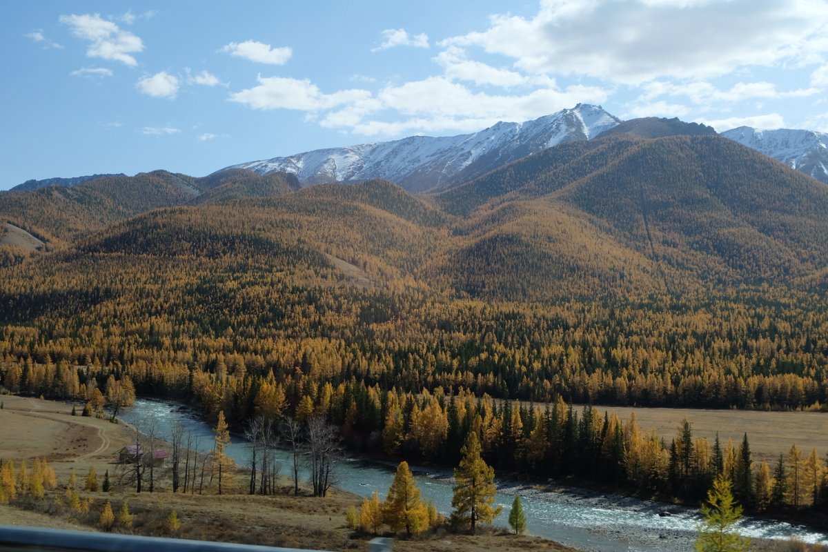 Россия - Алтай. Фото №15