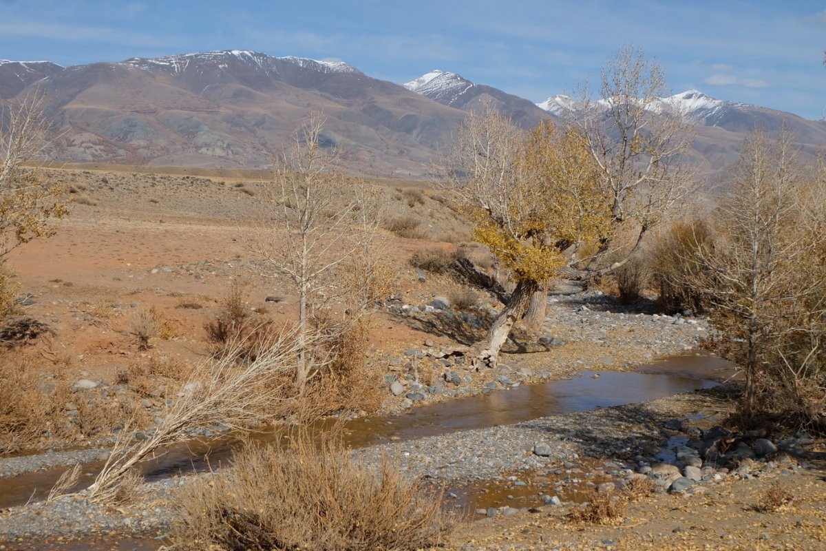 Алтай. Курайский хребет и речка Кызылчин. Россия - Алтай. Фото №16