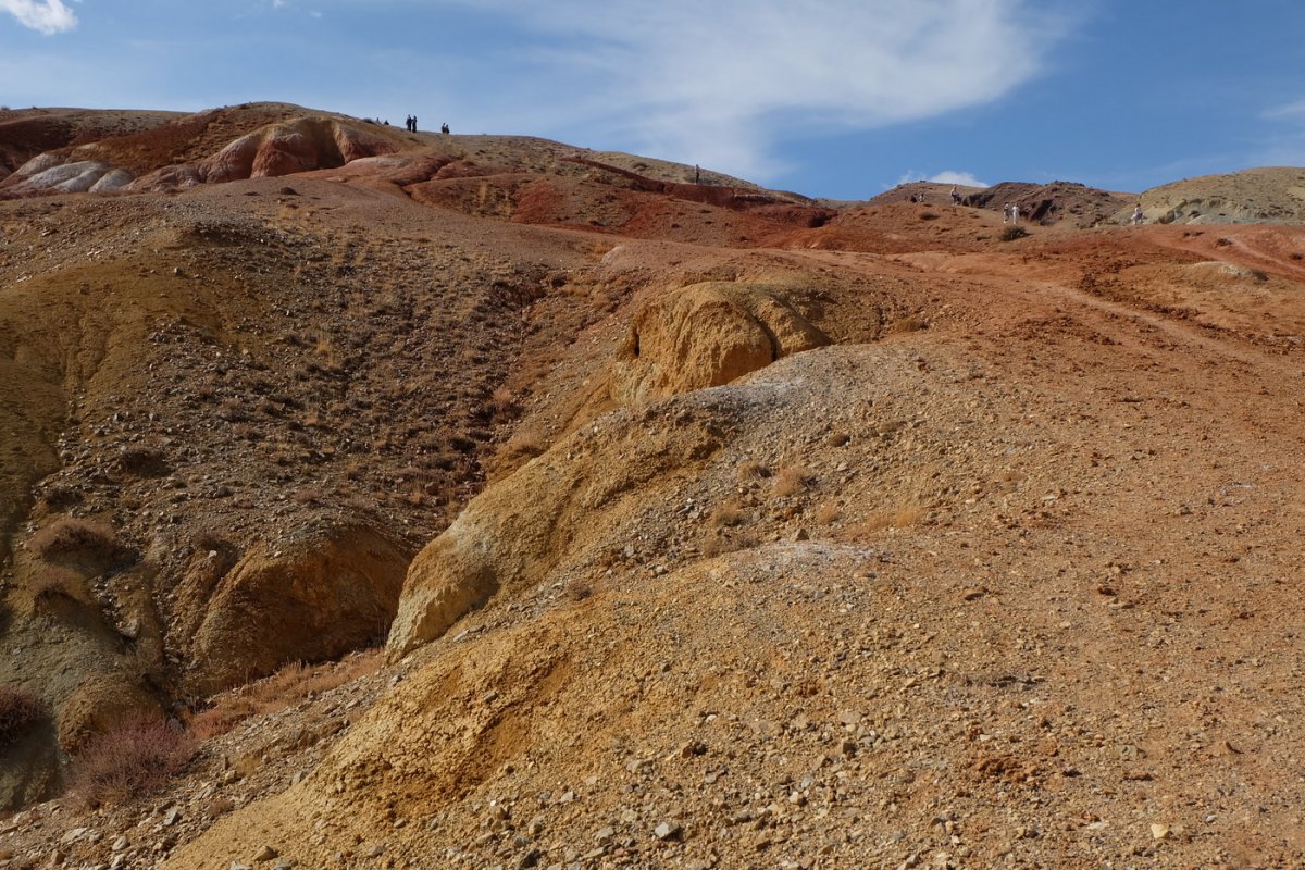 Россия - Алтай. Фото №17