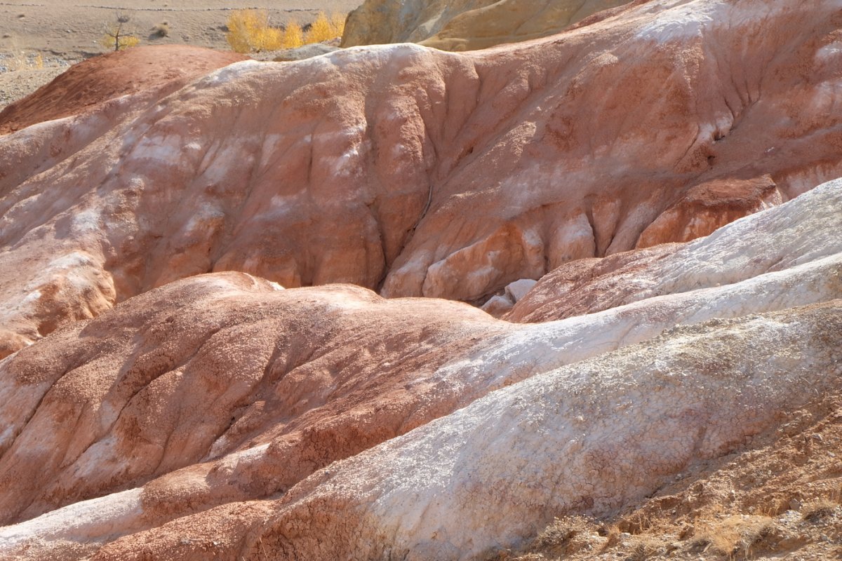 Россия - Алтай. Фото №19