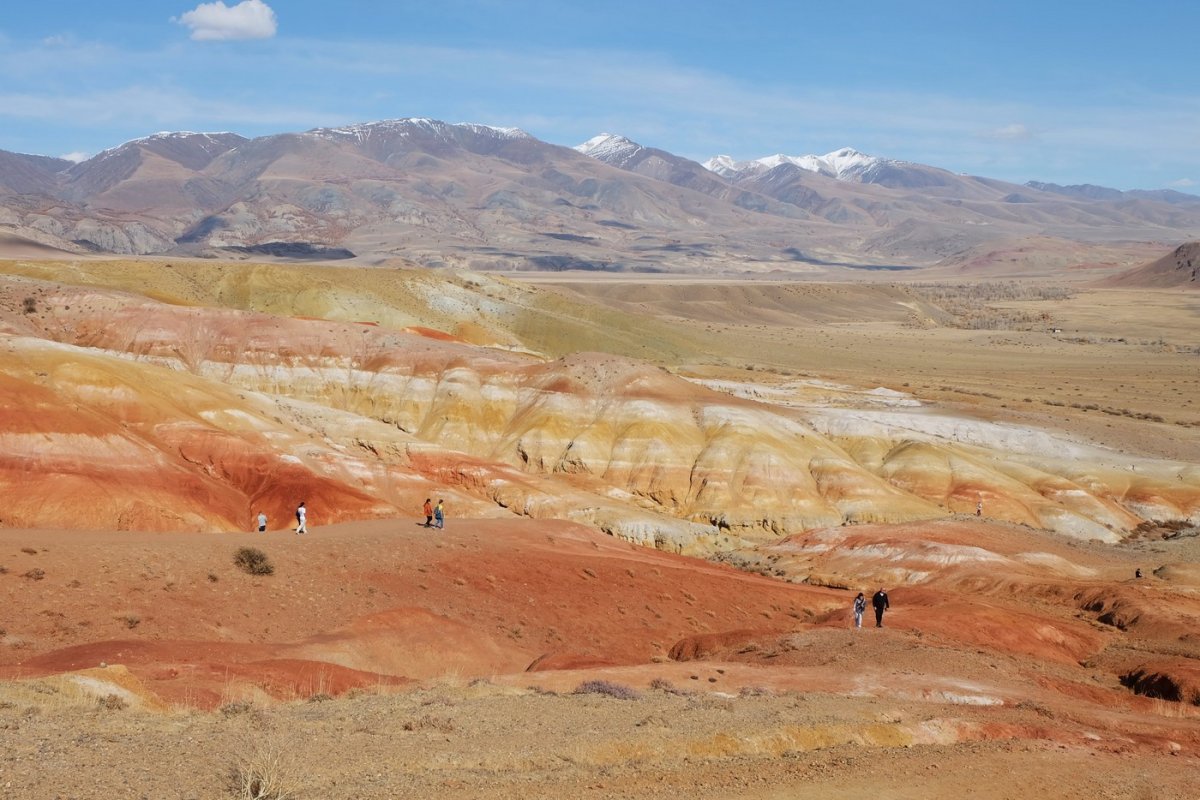 Россия - Алтай. Фото №20